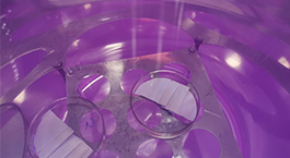 Application of plasma in sterilization and disinfection